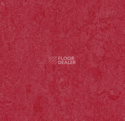 Линолеум Forbo Marmoleum Marbled Fresco 3273-327335 ruby фото 1 | FLOORDEALER